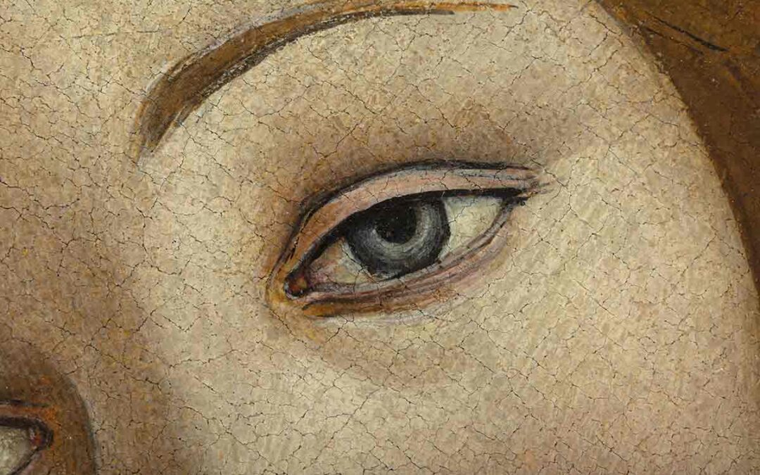 VE.N.E.RE. – VEnus Non-invasive Examination and REsearch. The Venus by Botticelli of the Musei Reali in Turin.