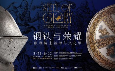 STEEL OF GLORY  A knight’s life of armor, blade, and honor